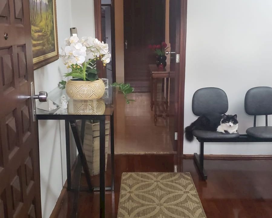 Imagem imóvel CASA A VENDA EM BATATAIS/SP