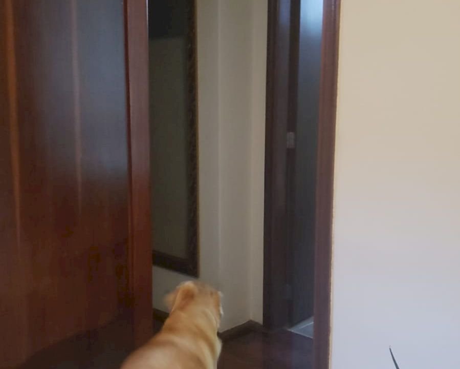 Imagem imóvel CASA A VENDA EM BATATAIS/SP