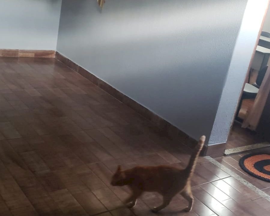 Imagem imóvel CASA A VENDA EM BATATAIS/SP