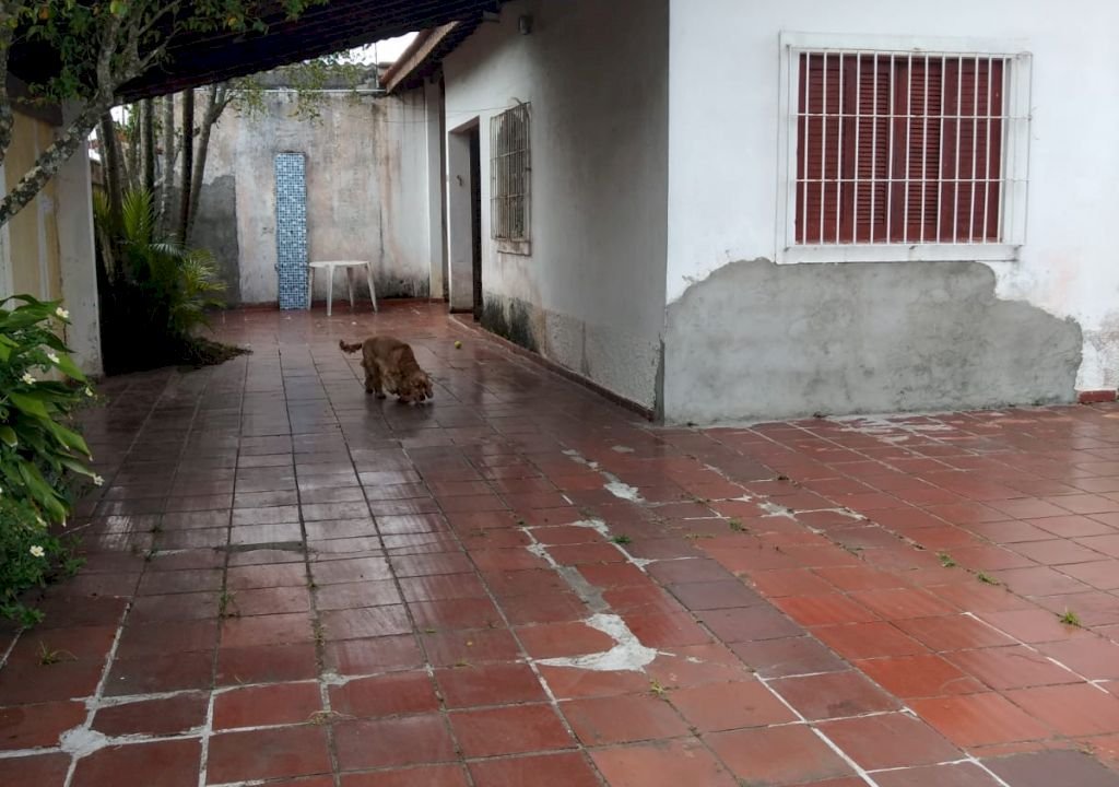 Imagem imóvel CASA NA MARGINAL DO SUARÃO LADO PRAIA EM ITANHAÉM