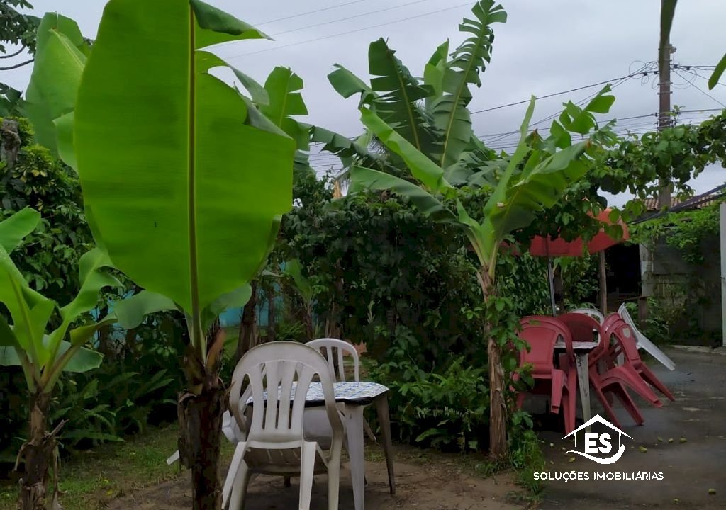 Imagem imóvel TERRENO A VENDA MURADO C/ ARVORE FRUTIFERA